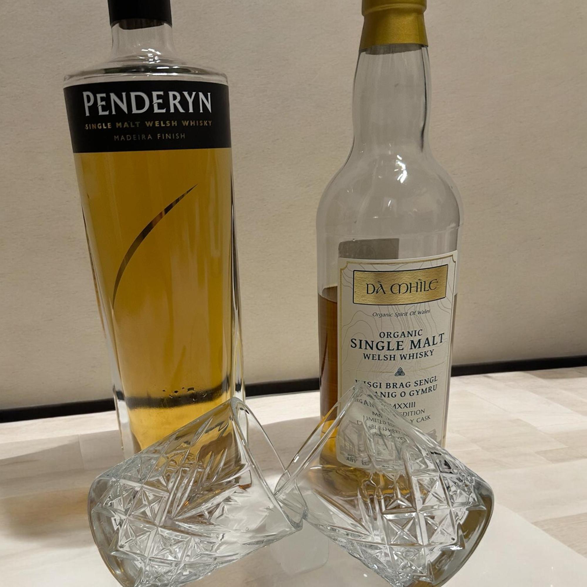 Caerwylan Hotel Criccieth Εξωτερικό φωτογραφία